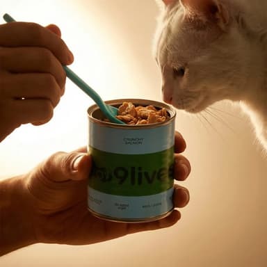 Pet Food & Treats