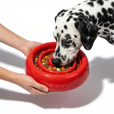 Pet Supplies